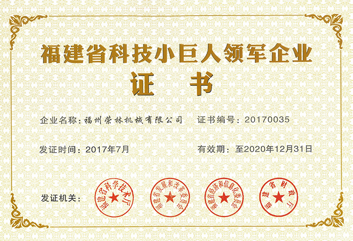 荣林 科技小巨人证书2017年